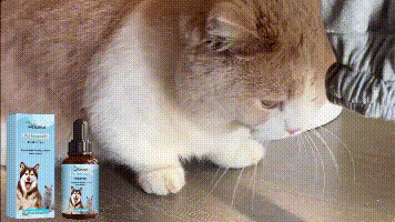 Pet Immune Oral Drops, Special Nutritional And Immune Health Drops For Cats And Dogs