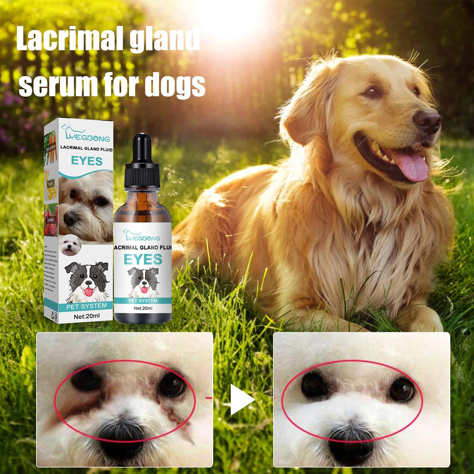 Tear Duct Serum For Dogs, Cats And Dogs Removal Eye Poop Pet Topical Eye Tear Stain Serum