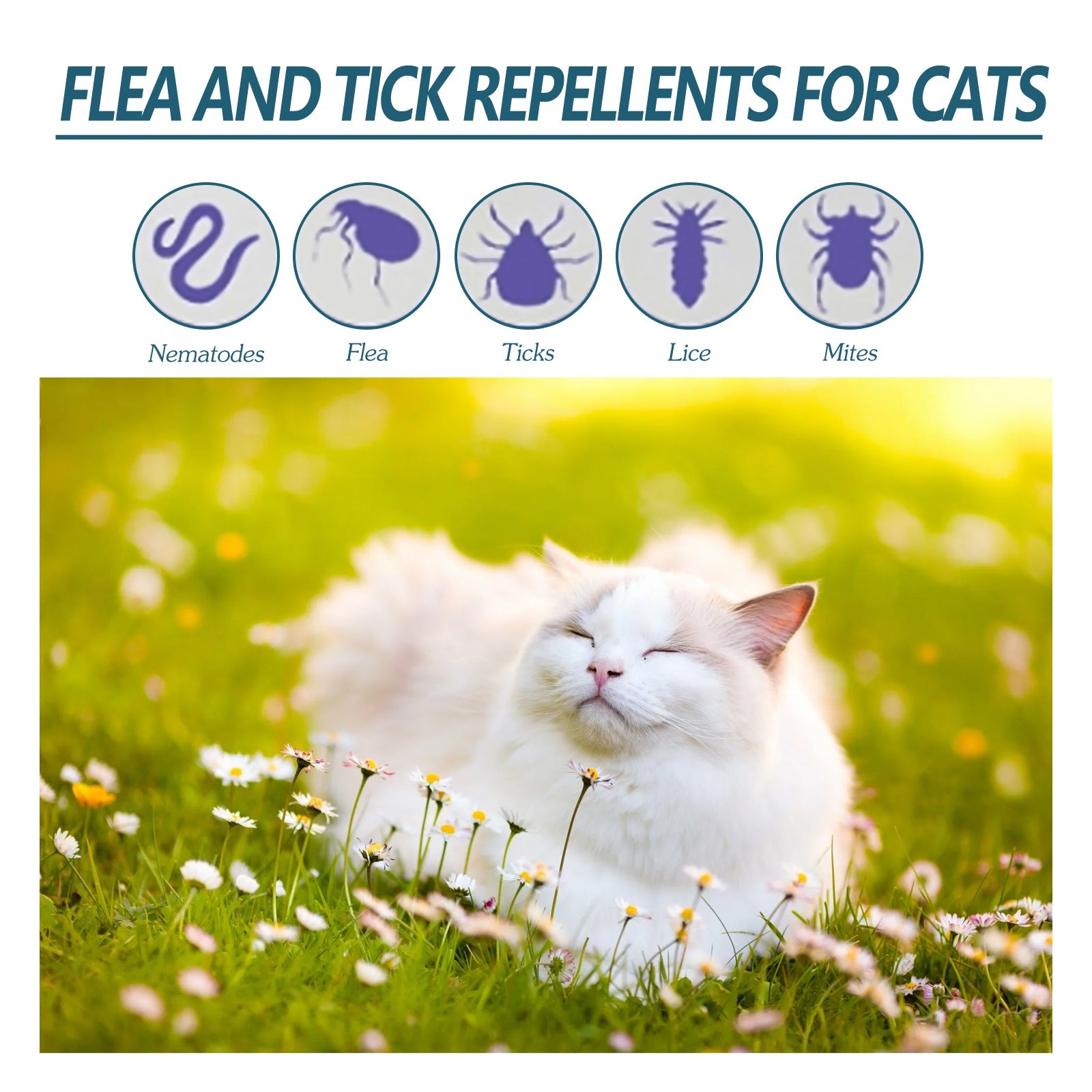 Pet Anti-Flea Tick Agent, External Deworming Skin Cleaning Tick Drops For Cats And Dogs