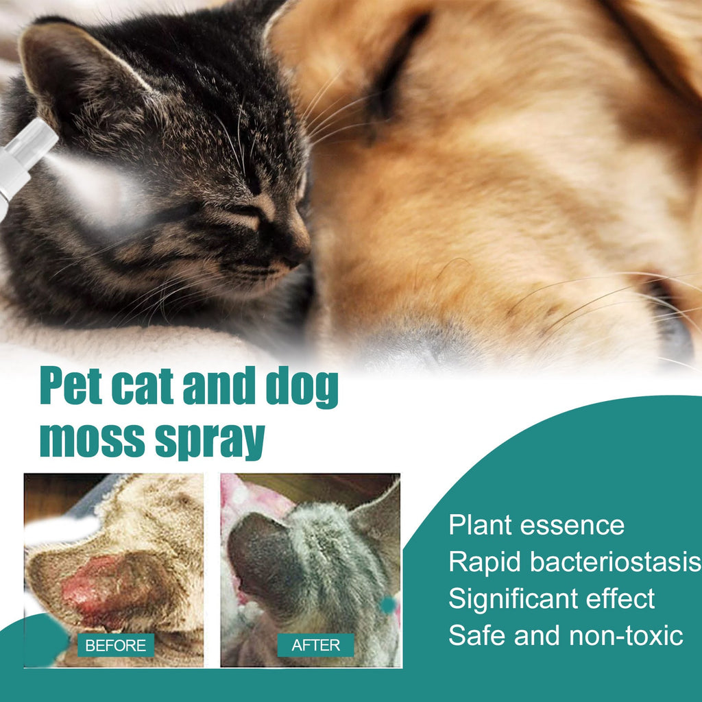 Pet Skin Medicine Spray, Cats And Dogs To Remove Mite Skin Itching To Remove Red Hair To Itch