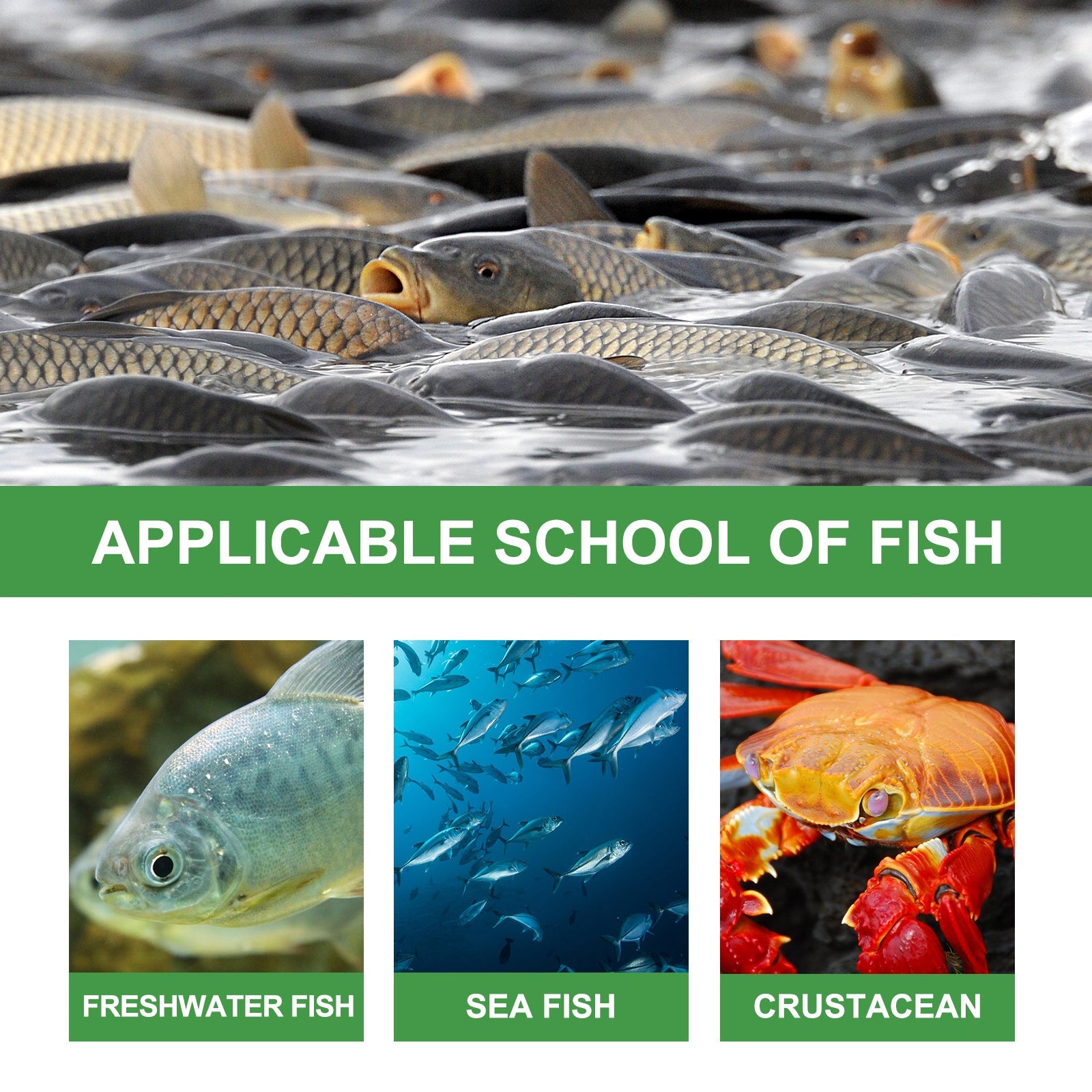 Bait Attractant, Small Medicine Attractant Wild Fishing Bait Bait Fishing Lure Agent Is Expected To Lead Fish